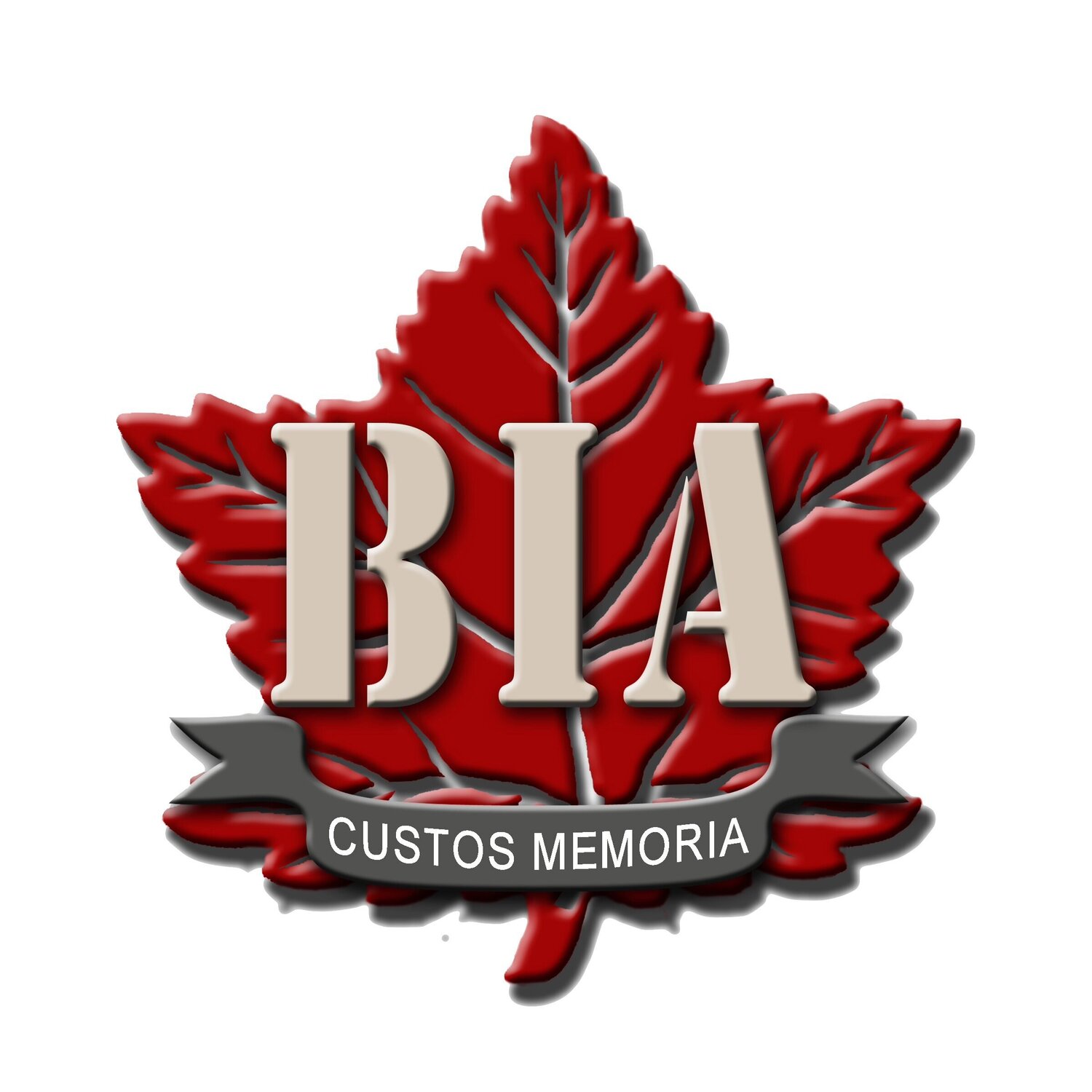 Bravery in Arms / Bravoure au Combat