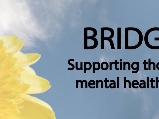 B.R.I.D.G.E.S. The Hinton Housing and Employment Society